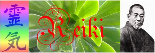 Reiki I Certificate Training Day